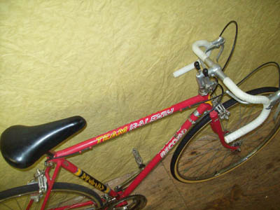 Vélo Raleigh Record - Team Raleigh - StephaneLapointe.com