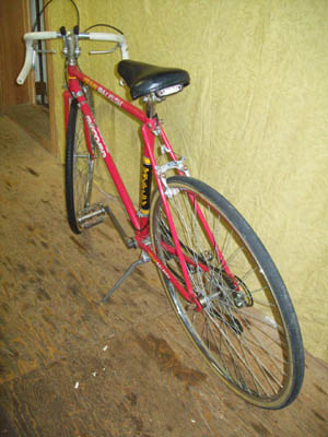 Vélo Raleigh Record - Team Raleigh - StephaneLapointe.com