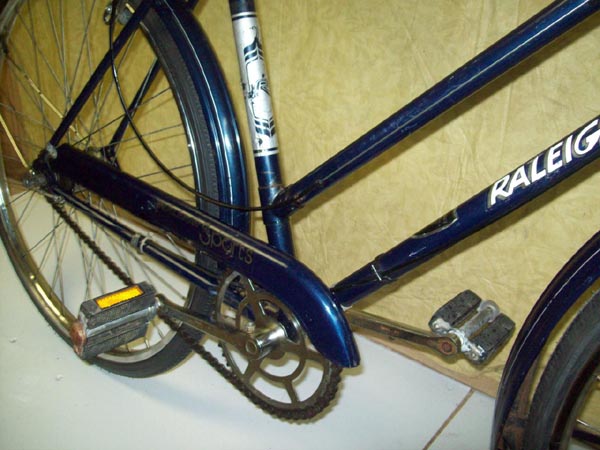 Vélo Raleigh Sports - StephaneLapointe.com