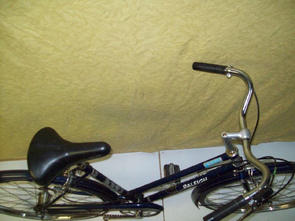 Vélo Raleigh Sports - StephaneLapointe.com