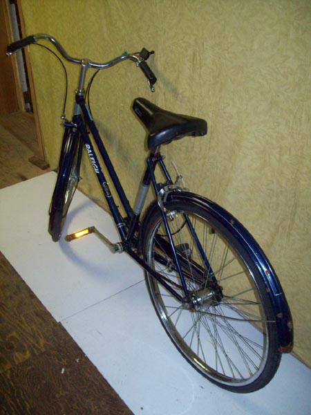 Vélo Raleigh Sports - StephaneLapointe.com