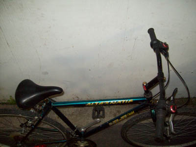 Vélo Niji Alternatif - StephaneLapointe.com