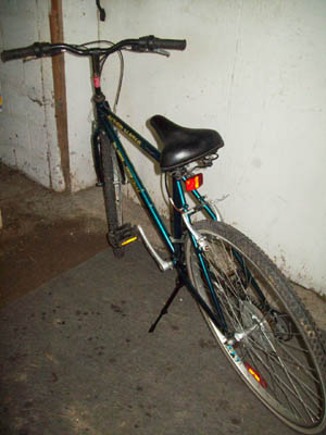 Vélo Niji Alternatif - StephaneLapointe.com