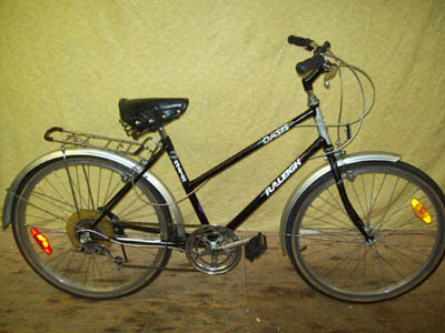 Vélo Raleigh Oasis - StephaneLapointe.com