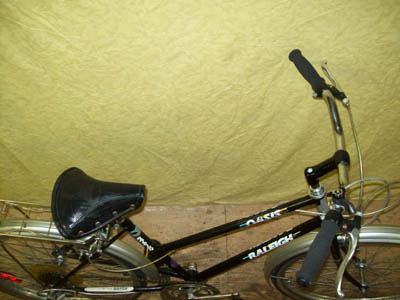 Vélo Raleigh Oasis - StephaneLapointe.com