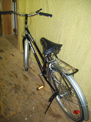 Vélo Raleigh Oasis - StephaneLapointe.com