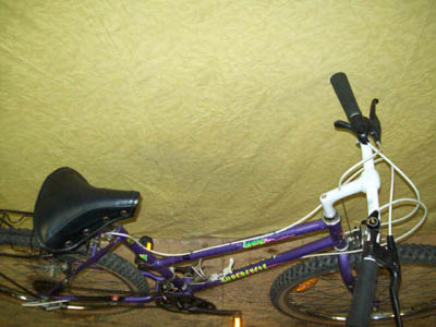 Vélo Supercycle Gemini - StephaneLapointe.com