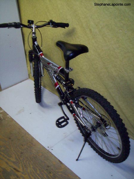 Vélo Techteam Sport Tech Aluminum - StephaneLapointe.com