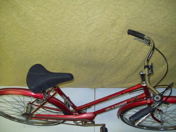 Vélo Velo Sport Express 3 - StephaneLapointe.com