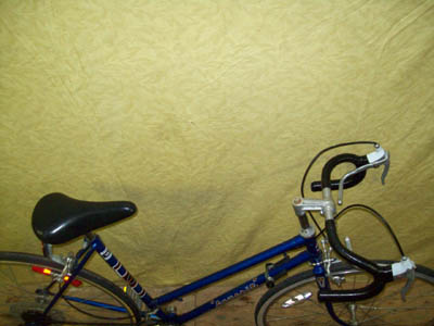 Vélo Rapido Favorit - StephaneLapointe.com