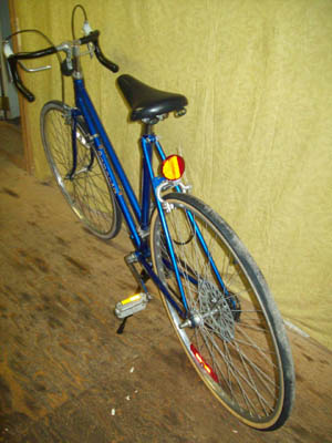 Vélo Rapido Favorit - StephaneLapointe.com
