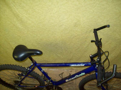 Vélo Supercycle Breeze - StephaneLapointe.com