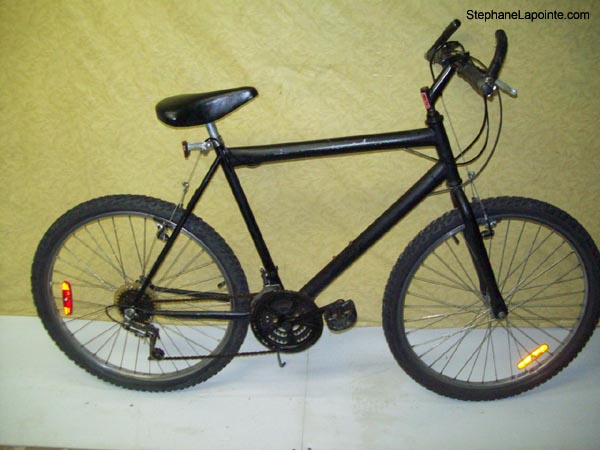Vélo Triumph  - StephaneLapointe.com
