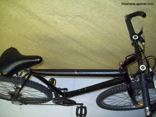 Vélo Triumph  - StephaneLapointe.com
