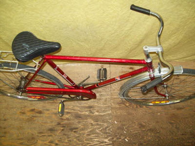 Vélo Rapido Streamline - StephaneLapointe.com