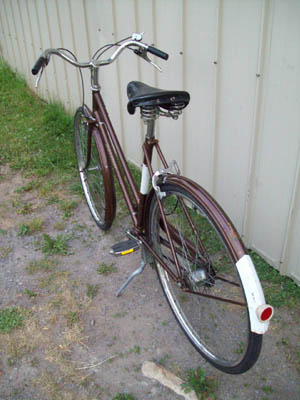Vélo Raleigh Sports - StephaneLapointe.com