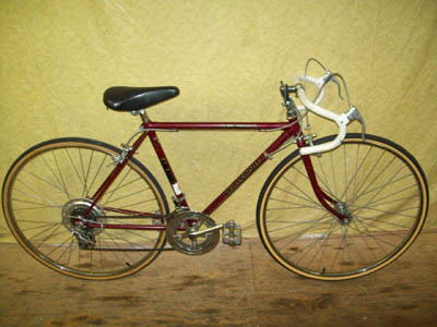 Vélo Velo Sport Express 10 - StephaneLapointe.com