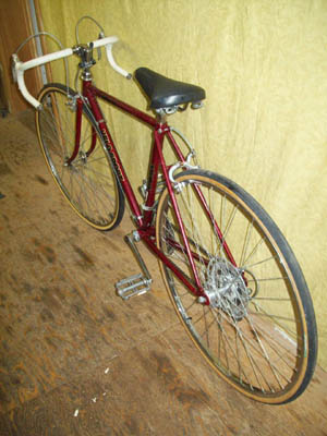 Vélo Velo Sport Express 10 - StephaneLapointe.com