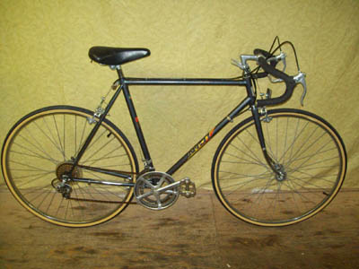 Vélo Niji Caravelle - StephaneLapointe.com