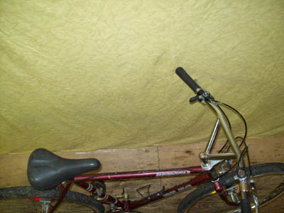 Vélo Supercycle Trail AT-12 - StephaneLapointe.com