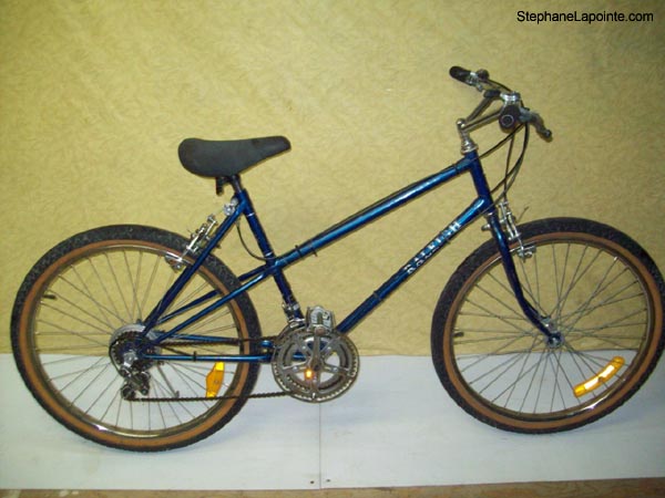 Vélo Raleigh Safari - StephaneLapointe.com