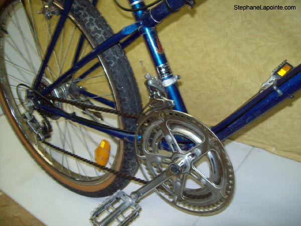 Vélo Raleigh Safari - StephaneLapointe.com