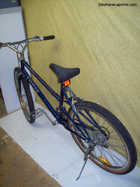 Vélo Raleigh Safari - StephaneLapointe.com
