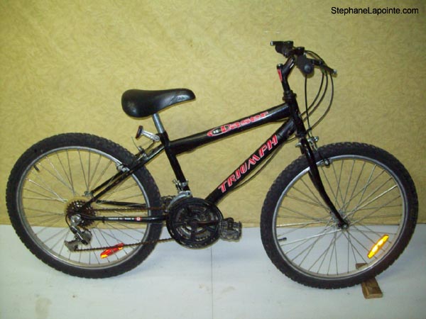 Vélo Triumph Laser 15 - StephaneLapointe.com