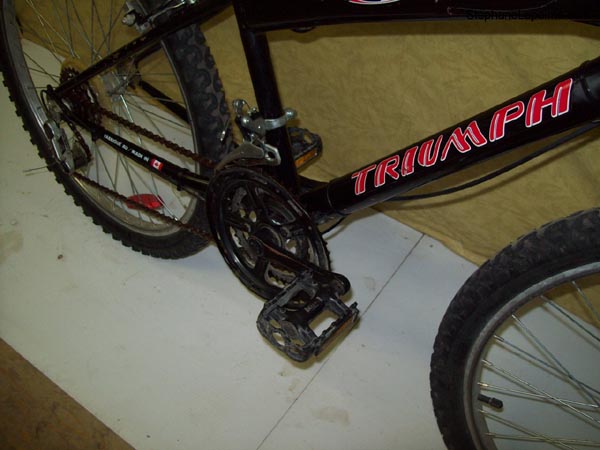 Vélo Triumph Laser 15 - StephaneLapointe.com