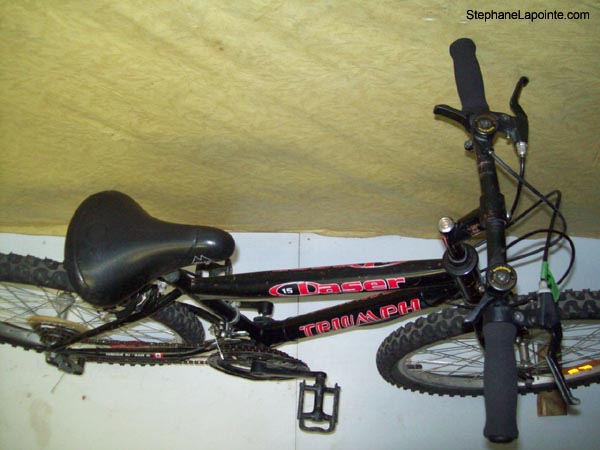 Vélo Triumph Laser 15 - StephaneLapointe.com