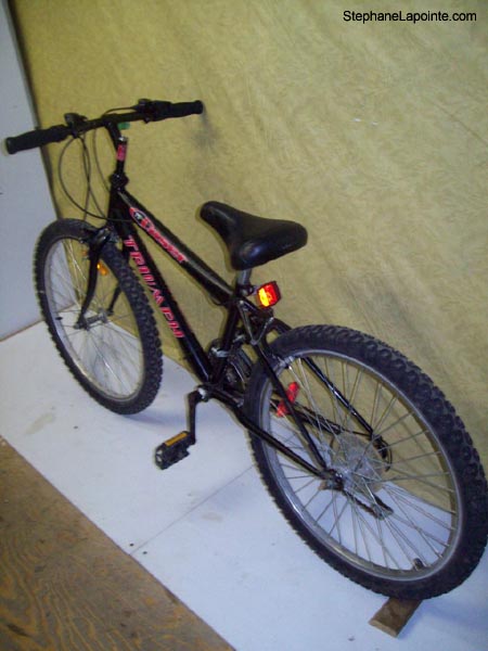 Vélo Triumph Laser 15 - StephaneLapointe.com