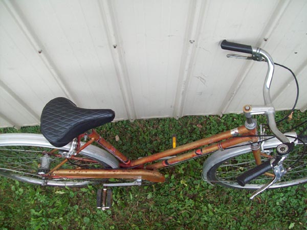Vélo Rapido Olympic - StephaneLapointe.com