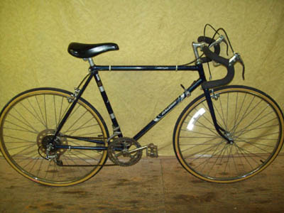 Vélo Raleigh Challenger - StephaneLapointe.com