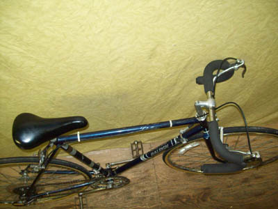 Vélo Raleigh Challenger - StephaneLapointe.com
