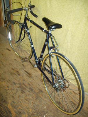 Vélo Raleigh Challenger - StephaneLapointe.com