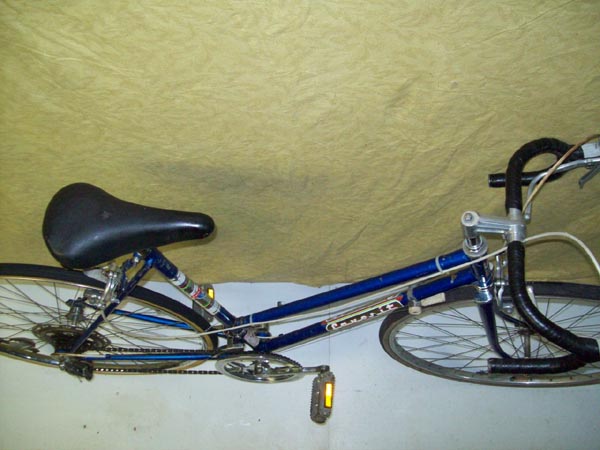 Vélo Rapido Favorit - StephaneLapointe.com