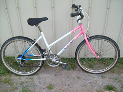 Vélo Leader  - StephaneLapointe.com