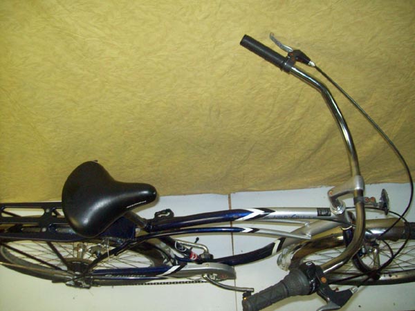 Vélo Schwinn 5 Star Cruiser - StephaneLapointe.com