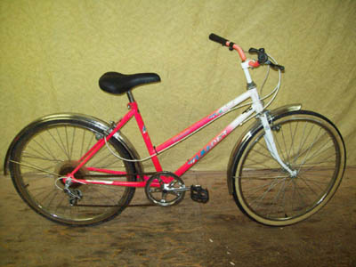 Vélo Leader LE 60706 - StephaneLapointe.com