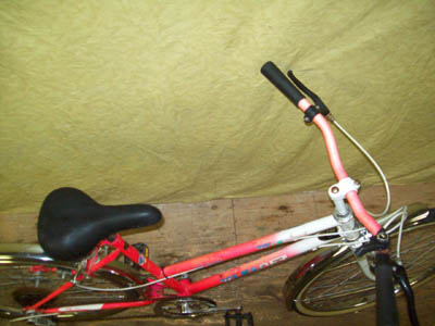 Vélo Leader LE 60706 - StephaneLapointe.com