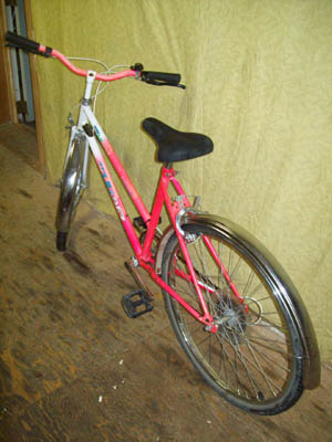 Vélo Leader LE 60706 - StephaneLapointe.com