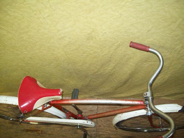 Vélo Rapido Streamline - StephaneLapointe.com