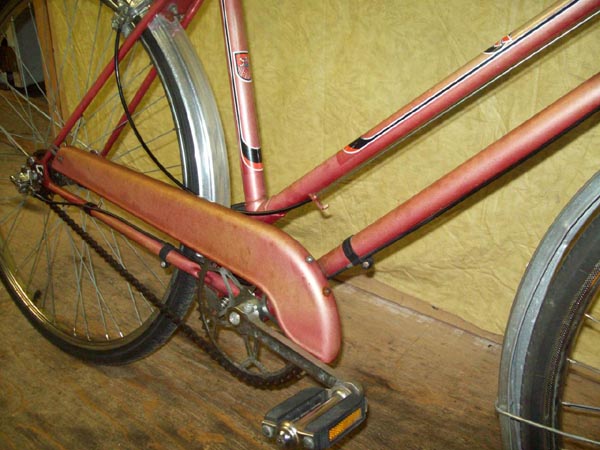 Vélo Rapido Olympic - StephaneLapointe.com