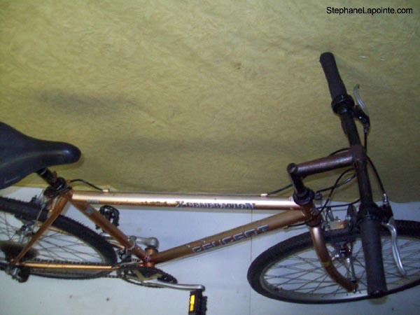 Vélo Peugeot X-Generation - StephaneLapointe.com