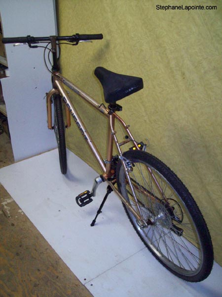 Vélo Peugeot X-Generation - StephaneLapointe.com