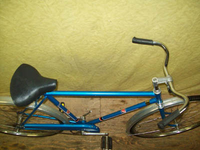 Vélo Rapido Streamline - StephaneLapointe.com