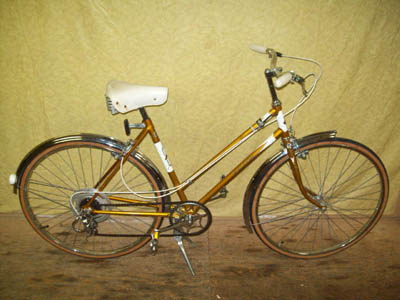 Vélo Raleigh Gold - StephaneLapointe.com