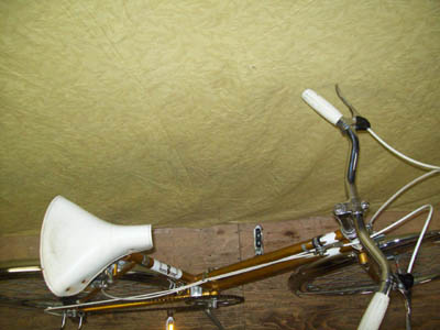 Vélo Raleigh Gold - StephaneLapointe.com