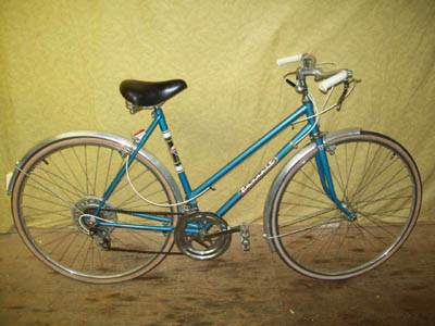 Vélo Rapido Favorit Sportsmen Racer - StephaneLapointe.com