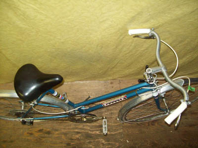 Vélo Rapido Favorit Sportsmen Racer - StephaneLapointe.com